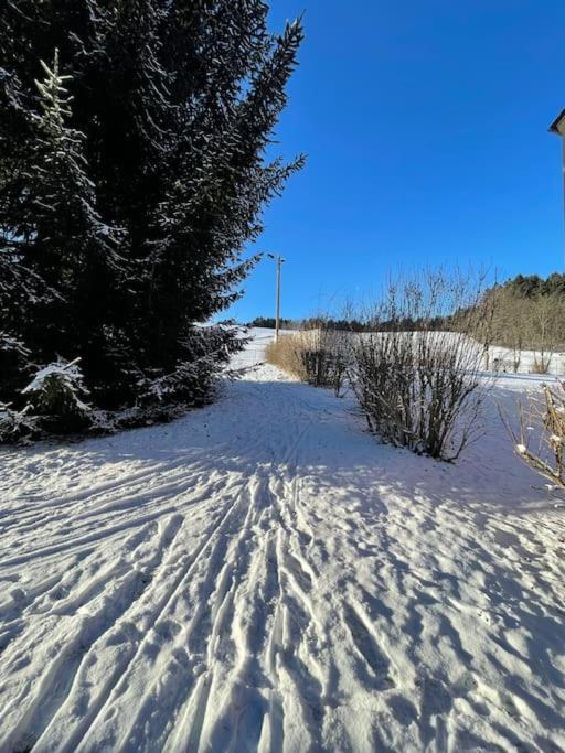 Franzis Feriendomizil Im Herzgebirge Am Skihang Auerbach  エクステリア 写真