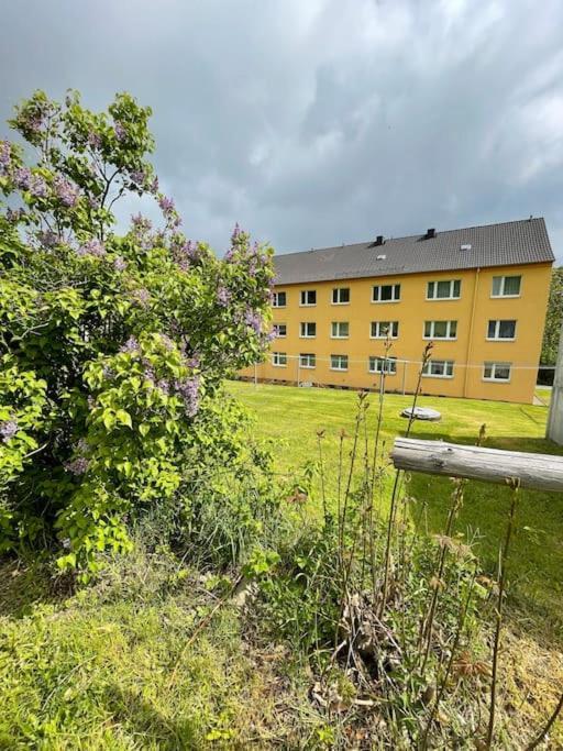 Franzis Feriendomizil Im Herzgebirge Am Skihang Auerbach  エクステリア 写真