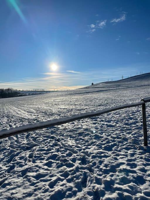 Franzis Feriendomizil Im Herzgebirge Am Skihang Auerbach  エクステリア 写真