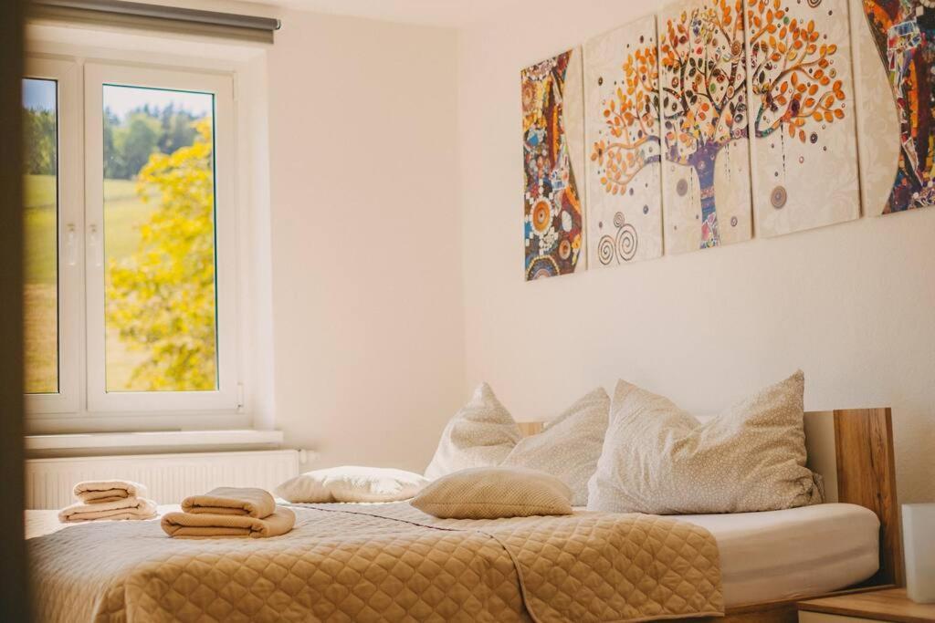 Franzis Feriendomizil Im Herzgebirge Am Skihang Auerbach  エクステリア 写真