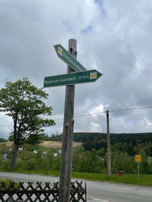 Franzis Feriendomizil Im Herzgebirge Am Skihang Auerbach  エクステリア 写真